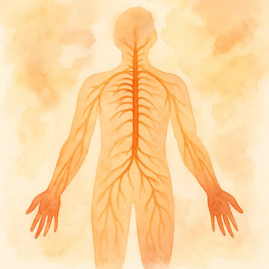 Síndrome-de-Guillain-Barré Nootrópicos Perú