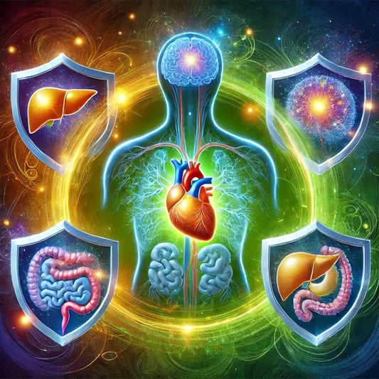 TUDCA: Beneficios que Van Más Allá del Hígado - Nootrópicos Perú