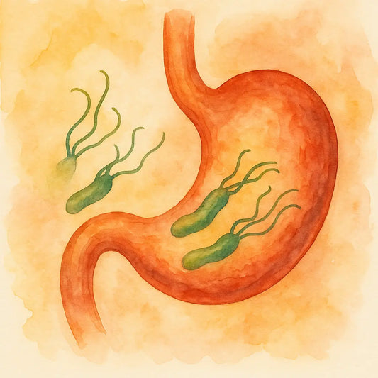 Gastritis-por-Helicobacter-pylori Nootrópicos Perú