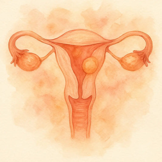Mioma-uterino Nootrópicos Perú