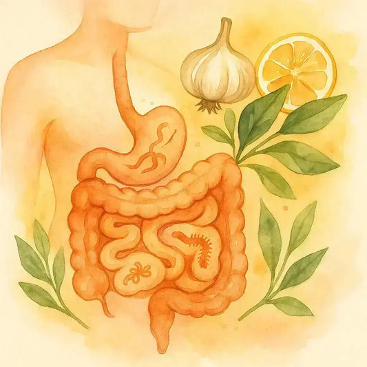 Eliminación-de-Parásitos Nootrópicos Perú