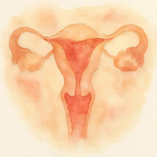 Endometriosis Nootrópicos Perú