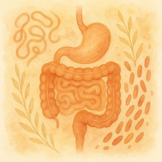 Colon-irritable Nootrópicos Perú