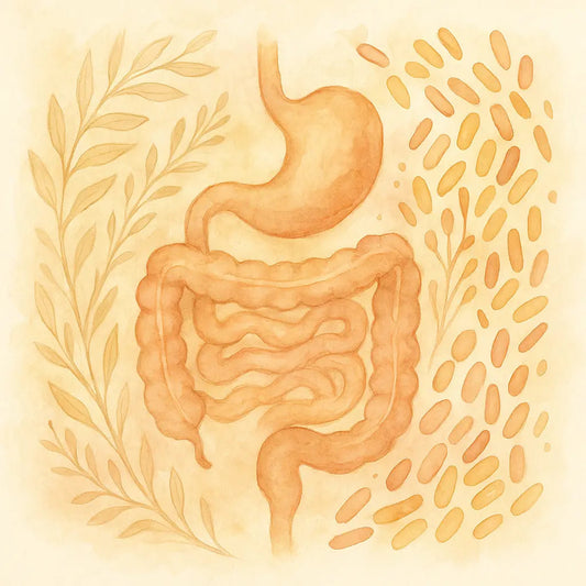 Cándida Nootrópicos Perú