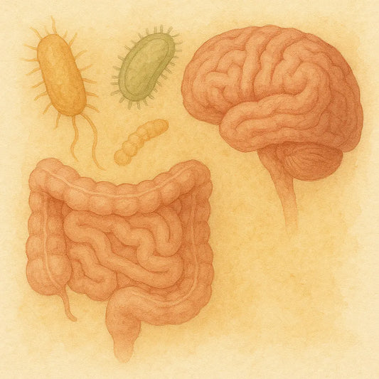 Ansiedad: Tres Estrategias Microbianas Avanzadas - Nootrópicos Perú