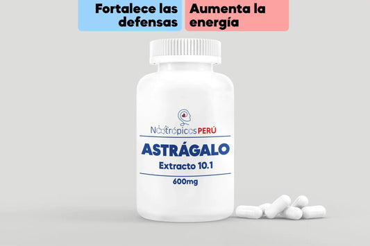 Astrágalo 600mg (extracto 10.1) 600mg - 100 cápsulas Nootrópicos Perú