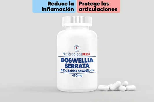 Boswellia 450mg (Extracto al 65%) - 100 cápsulas Nootrópicos Perú