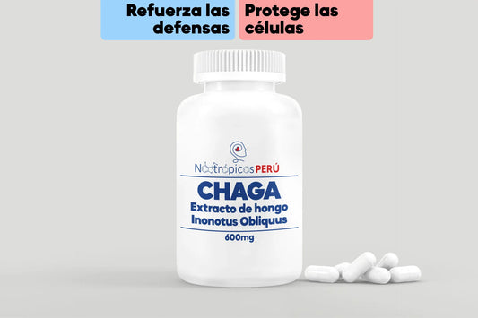 Chaga 600mg (Extracto de hongo Inonotus obliquus) - 100 cápsulas Nootrópicos Perú