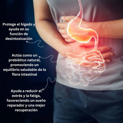 Chaga 600mg (Extracto de hongo Inonotus obliquus) - 100 cápsulas Nootrópicos Perú