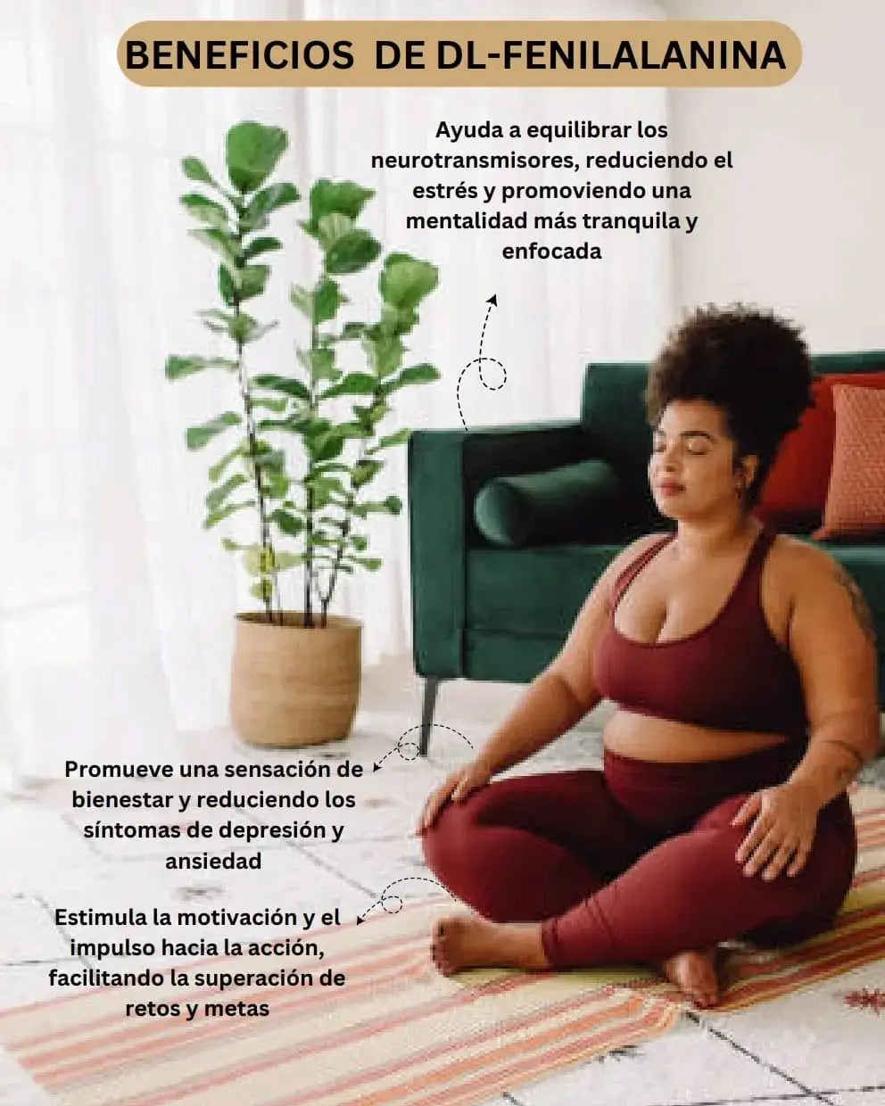 DL-Fenilalanina 500mg - 100 cápsulas Nootrópicos Perú