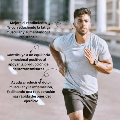 Fosfatidilserina 100mg - 100 cápsulas Nootrópicos Perú